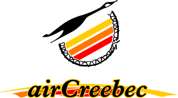 Alternative logo